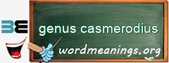 WordMeaning blackboard for genus casmerodius